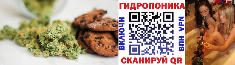 нарко площадка как зайти  Малгобек  Cannafood конопля  где можно купить   кракен вход 