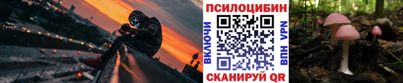 Галлюциногенные грибы Cubensis  Малгобек 